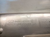 Recambio de guantera para hyundai coupe (gk) 1.6 fx referencia OEM IAM 845412C000 