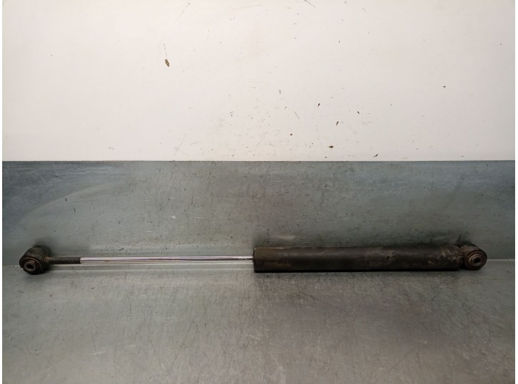 Recambio de amortiguador de direccion para land rover range rover (lp) 2.5 turbodiesel referencia OEM IAM ANR2640 ANR2640 