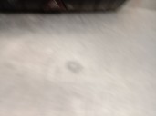 Recambio de warning para mercedes-benz clase gl (x164) 3.0 cdi cat referencia OEM IAM A1648700251 A1648700251 