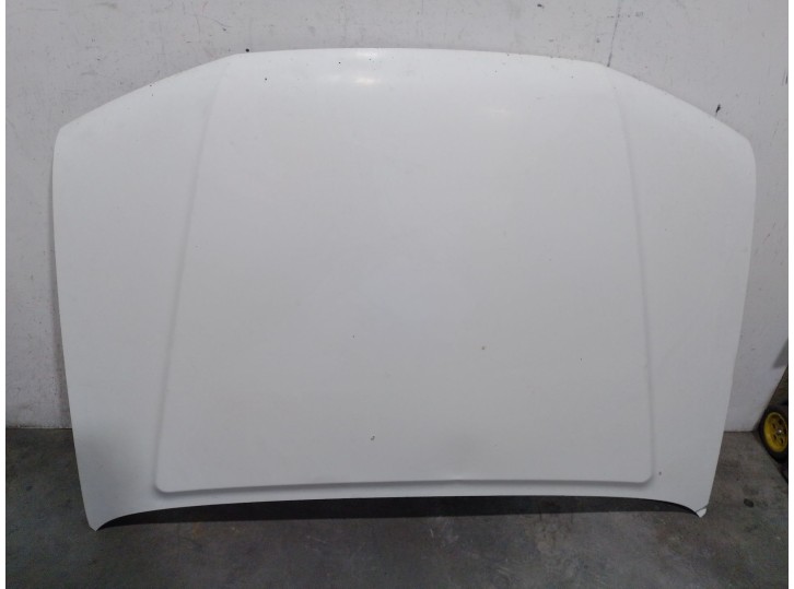 Recambio de capot para nissan pathfinder (r51) 2.5 dci diesel cat referencia OEM IAM 65100EB330 