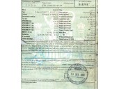 ford focus berlina (cak) del año 2001