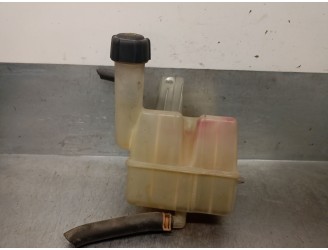 Recambio de deposito expansion para renault laguna ii (bg0) 1.9 dci diesel cat referencia OEM IAM 8200008864  