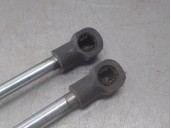 Recambio de amortiguadores capo para lexus is 2.5 16v cat (híbrido) referencia OEM IAM 5344053020 5344053020 - 5345053010 DERECH