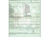 seat ibiza (6l1) del año 2003