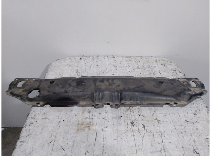 Recambio de panel frontal para bmw serie 5 touring (e61) 2.5 cat referencia OEM IAM 51647033741 