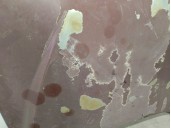 Recambio de capot para ssangyong musso 2.9 turbodiesel cat referencia OEM IAM 6102005051  