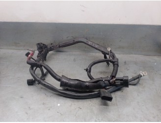 Recambio de cableado para audi a6 lim. (4g2) 3.0 v6 24v tdi referencia OEM IAM 4G0971824R 4G0971824R 