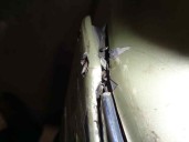 Recambio de paragolpes delantero para renault vel satis (bj0) 3.0 v6 dci turbodiesel cat referencia OEM IAM VERDE CLARO 