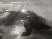 Recambio de carter para nissan primastar furgoneta (x83) 2.0 dci 115 referencia OEM IAM 8200795110 1111000Q0G 