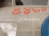 Recambio de deposito expansion para fiat doblo cargo (263_) 1.3 d multijet referencia OEM IAM 51891028 51891028 