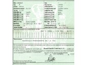 renault clio iii del año 2005