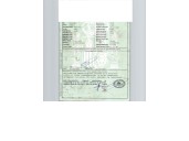 volvo 440 (445) del año 1994