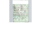 saab 9-3 (ys3f, e79, d79, d75) del año 2009