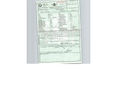 mini mini (r56) del año 2007