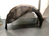 Recambio de paso rueda trasero derecho para land rover range rover sport i (l320) 2.7 d 4x4 referencia OEM IAM CLF500042 CLF5000