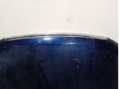 Recambio de capot para hyundai sonata v (nf) 2.0 crdi referencia OEM IAM 664003K010  