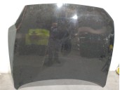 Recambio de capot para bmw 1 (f20) 116 i referencia OEM IAM 41007290942  