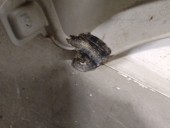 Recambio de aleta delantera derecha para » otros... microcar mgo sxi referencia OEM IAM 