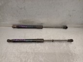 Recambio de amortiguadores capo para bmw x1 (e84) sdrive 18 d referencia OEM IAM 51232990344 41612990344 