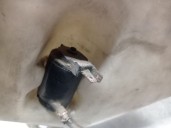 Recambio de deposito limpia para austin montego (xe) 2.0 referencia OEM IAM   