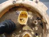 Recambio de aforador para bmw 5 gran turismo (f07) 530 d xdrive referencia OEM IAM 16117260648  