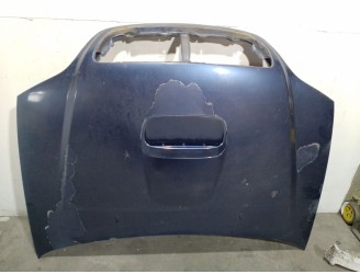 Recambio de capot para kia carnival ii (gq) 2.9 crdi referencia OEM IAM K54Z52310  