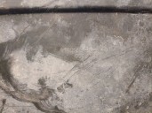 Recambio de cubrecarter para jeep compass (mk49) 2.2 crd referencia OEM IAM 11MK49J1401M CESTA 50 