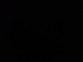 Recambio de guantera para subaru legacy v station wagon (br) 2.0 d awd referencia OEM IAM 66208AL000  