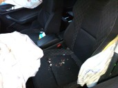 skoda karoq (nu7, nd7) del año 2020