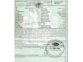 ford focus c-max (dm2) del año 2006
