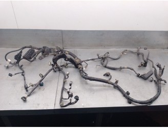 Recambio de cableado para toyota rav 4 iii (_a3_) 2.0 4wd (aca30_) referencia OEM IAM 8212142A10 8212142A10 