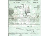 seat toledo ii (1m2) del año 1999