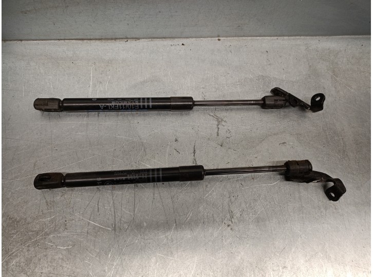 Recambio de amortiguadores capo para bmw 5 touring (f11) 520 d referencia OEM IAM 51234881653 51237309119 