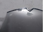 Replacement hood for Citroën C4 Picasso I MPV (ud_) 1.6 HDi OEM IAM reference 7901N7 7901N7 
