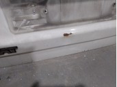 Recambio de puerta trasera izquierda para seat inca (6k9) 1.9 d referencia OEM IAM  6K9827145A 