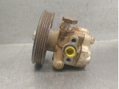 Recambio de bomba servodireccion para nissan pathfinder (r51) 2.5 dci diesel cat referencia OEM IAM 491103X01A 491103X01A 