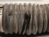 Recambio de cremallera direccion para fiat panda (312_, 319_) 1.2 (312pxa1a) referencia OEM IAM 51907994 51907994 A0020918 TRW