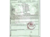 ford focus i (daw, dbw) del año 2001