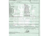 renault megane ii (bm0/1_, cm0/1_) del año 2004