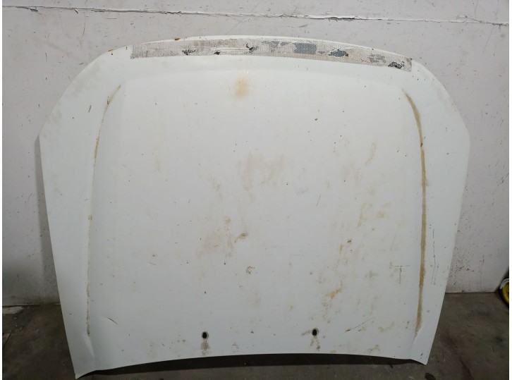 Recambio de capot para ford ranger (et) 2.5 tdci cat referencia OEM IAM  5139731 