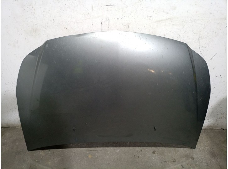 Recambio de capot para suzuki sx4 (ey, gy) 1.9 ddis 4x4 (rw 419d) referencia OEM IAM  5730079J00 