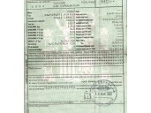 ford focus i (daw, dbw) del año 2000