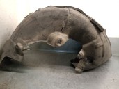 Recambio de paso rueda trasero derecho para mercedes-benz clase e (w213) e 350 d (213.033) referencia OEM IAM A2136909404 A21369