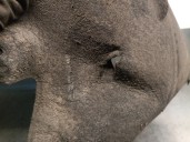 Recambio de paso rueda trasero derecho para mercedes-benz clase e (w213) e 350 d (213.033) referencia OEM IAM A2136909404 A21369