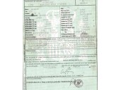nissan terrano ii (r20) del año 2003