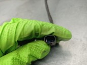 Recambio de sensor para kia xceed (cd) 1.5 t-gdi referencia OEM IAM 3926003300 3926003300 