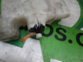 Recambio de deposito limpia para mercedes-benz clase e (w210) berlina diesel 300 turbodiesel (210.025) referencia OEM IAM   