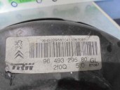 Recambio de servofreno para citroën c3 pluriel 1.6 16v cat (nfu / tu5jp4) referencia OEM IAM 9649329580 2F0Q5.0 TRW