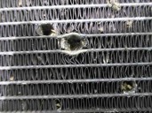 Recambio de radiador agua para nissan micra (k12e) 1.5 dci turbodiesel cat referencia OEM IAM 21400AX301 