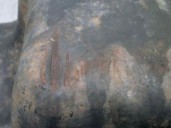 Recambio de carter para mazda premacy (cp) 2.0 turbodiesel referencia OEM IAM   